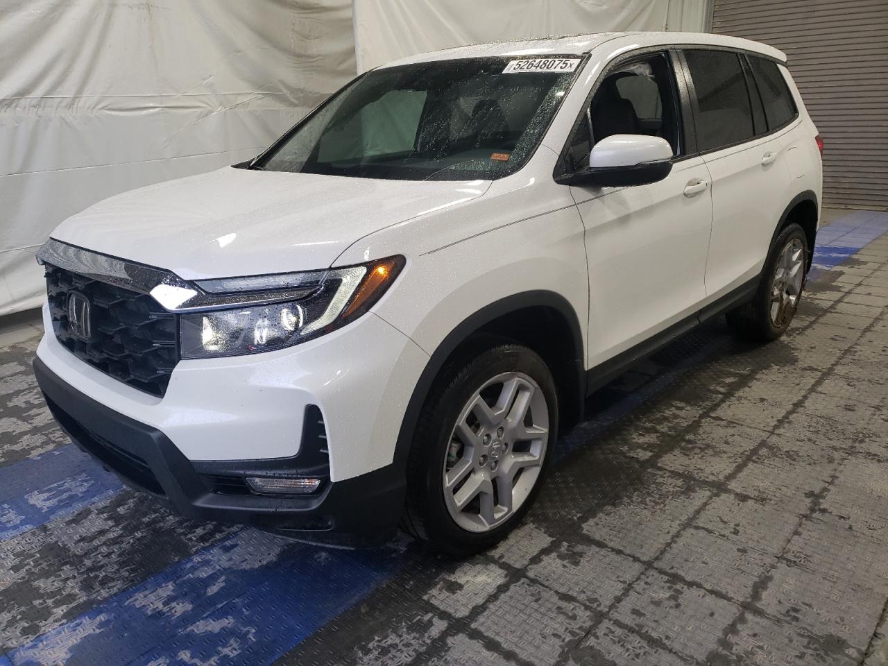 2024 HONDA PASSPORT — VIN 5FNYF8H54RB020153