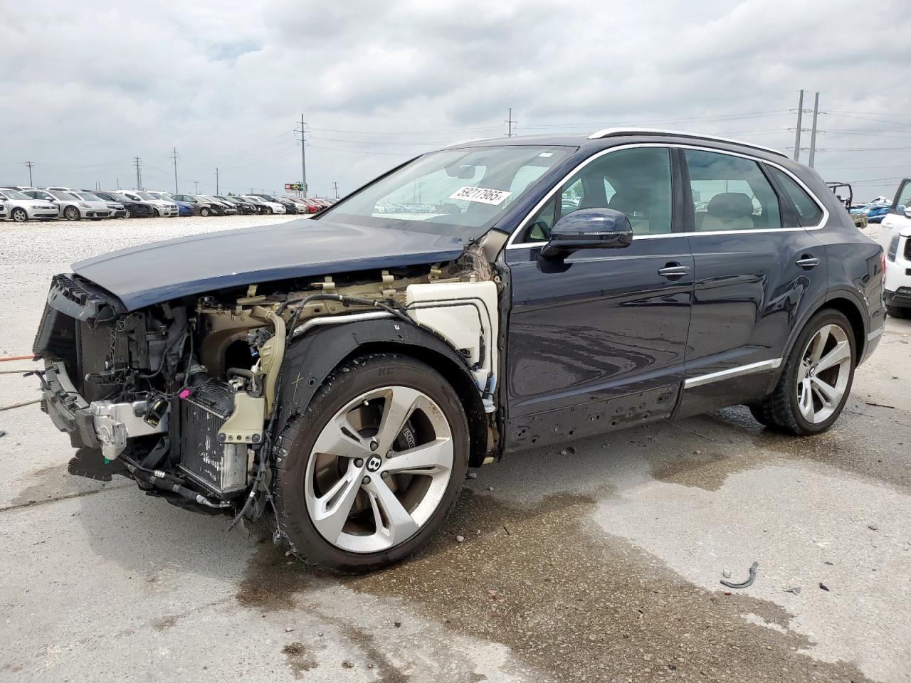 2019 BENTLEY ALL MODELS — VIN SJAAM2ZV9KC024691