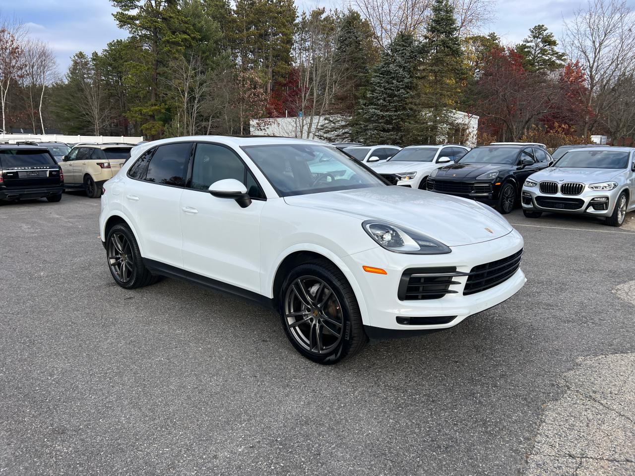 2019 PORSCHE CAYENNE — VIN WP1AA2AY7KDA09970